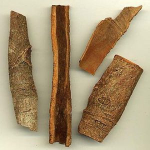 Cassia - 10ml House Of Oils