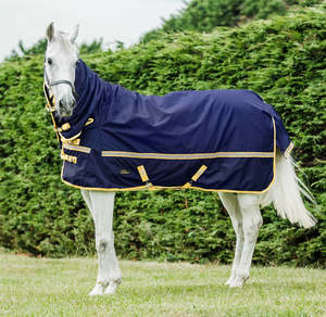 Clearance: Cavallino Northampton 50g Combo