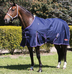 Clearance: Zilco Explorer 200 Rug