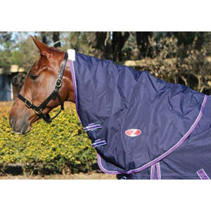 Clearance: Zilco Explorer 200 Neck Rug