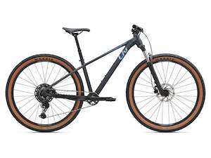 Mountain Bikes: 2025 Tempt 1