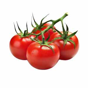 Tomato Punnet