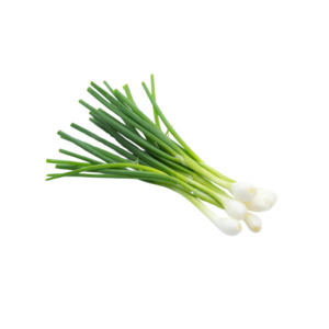 Spring Onion