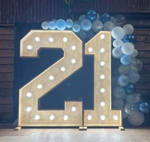 Ex Hire Items For Sale: Giant 21 Lights For Sale