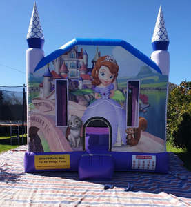 Ex Hire Items For Sale: Sold Princess Bouncy Castle