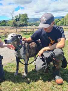 Clothing: Adopt Don't Shop Cap