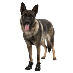 Pet Care Treats: Trixie Walker Active Dog Boots 2 Pack
