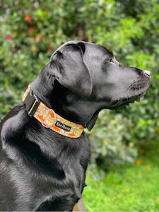 Medium Breed- Kiwi Hound Dog Handcrafted Dog Collar