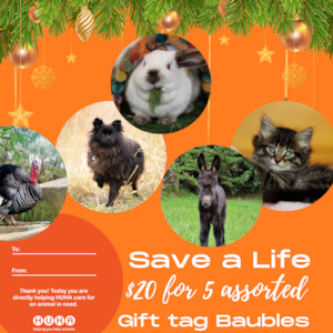 Save a life- Gift Tag Baubles