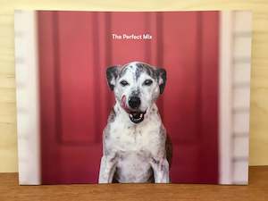 The Perfect Mix- by Jo Moore