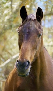 Donations: Make the Right Bet