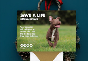 Home: Christmas E-Card $75 Gift of Life Donation