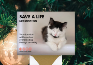 Home: Christmas E-Card $50 Save a Life Donation