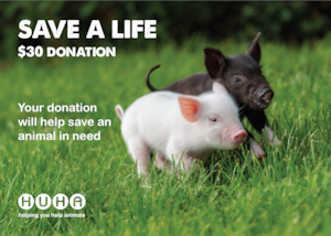 Home: Gift of Life Card- Help with Rescue & Care Costs