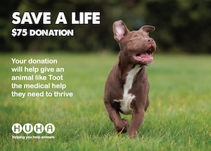 Gift of Life Card- Help with Medical Costs