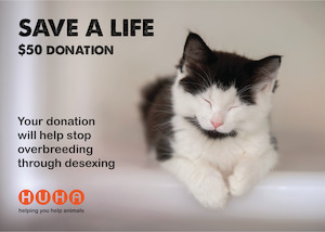 Gift Of Life Card- Desexing