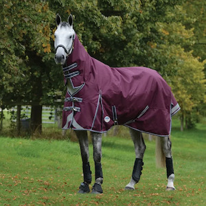 Wish List: Waterproof Horse Rug