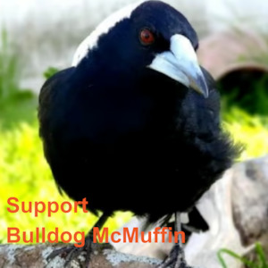 Huhaheroes: Support Bulldog McMuffin