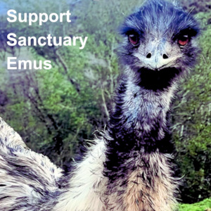 Huhaheroes: Support Weemu