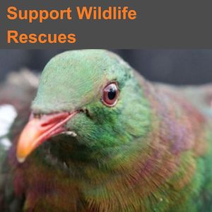 Huhaheroes: Support Rescued Wildlife