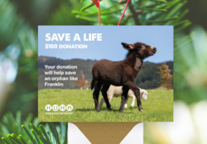 Gift Of Life E Cards: Gift of Life E-Card- Help Save an Orphan