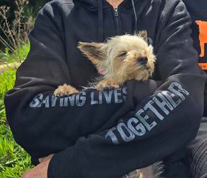 Clothing: Pre-order Saving Lives Together hoodie