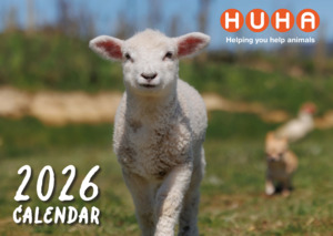 Books Gifts: 2026 HUHA Calendar