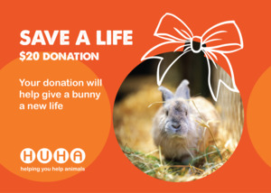 Have A Huha Christmas: Christmas Gift of Life Card- Give a Bunny a New Life