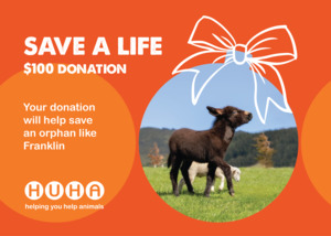 Have A Huha Christmas: Christmas Gift of Life Card- Help Save an Orphan