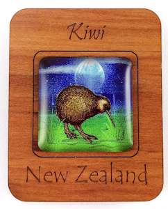 Magnets: G036 Magnet - Kiwi