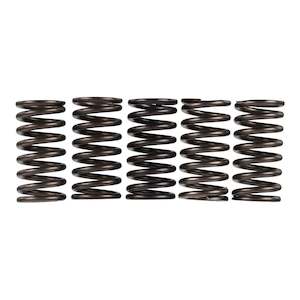 Premier Clutch Springs - Heavy Duty