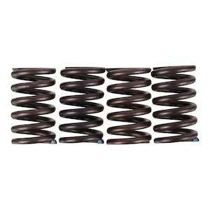 Premier Clutch Springs - Heavy Duty