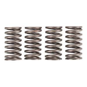Premier Clutch Springs - Heavy Duty