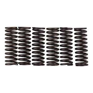 Premier Clutch Springs - Heavy Duty