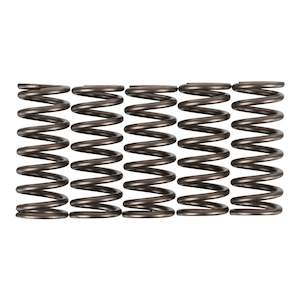 Premier Clutch Springs - Heavy Duty