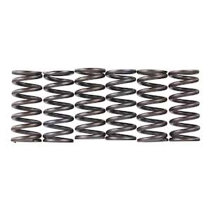 Premier Clutch Springs - Heavy Duty