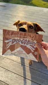 Products: Dog-Go Bites