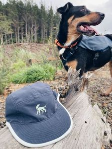 The 3R Cap