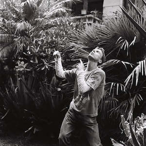 DOUGLAS WRIGHT 5. By Tessa Ayling-Guhl