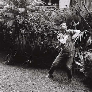 DOUGLAS WRIGHT 3. By Tessa Ayling-Guhl