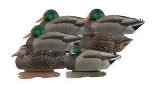 Products: Avery PG FB Mallard Sleeper/Rester 3D/3H 6pk Hunting & Fishing