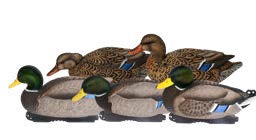 Avery PG XD FDH Mallard Harvester 4D/2H Hunting & Fishing