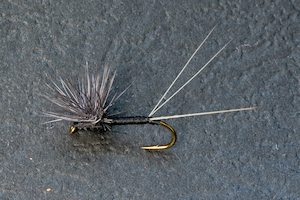 Dry Flies: Black Huberts - Kiwi Fly Fishing