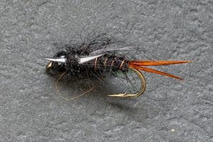 Black Stone Fly - Kiwi Fly Fishing