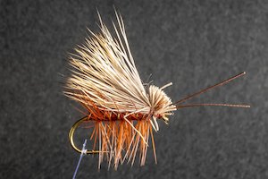Brown Caddis - Kiwi Fly Fishing