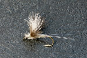 Dry Flies: Taz CDC Merg - Kiwi Fly Fishing