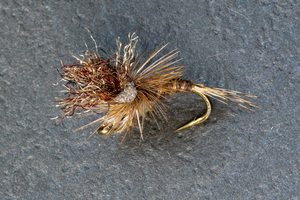 Taz Merg - Kiwi Fly Fishing