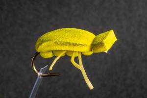 Yellow Foam Gum Beetle - Kiwi Fly Fishing