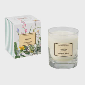 310g Candle Havana