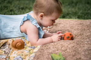 My 1st Tikiri | Ladybug